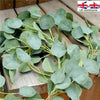 200CM Artificial Eucalyptus Garland Greenery Home Decor Hanging Rattan Wedding