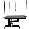 Extra Large Heavy Duty Hydraulic Dog Bath Grooming Table Station w/ H Bar & Arm
