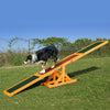 Pet Seesaw Activity Sport Dog Training Agility Obedience Toy Pet Supplies