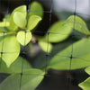 Bird Netting Heavy Duty Garden Net Protect Plants and Fruit Trees Protective Net