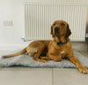 Professional vet bed Bedding NON SLIP Pet Whelping Dog Puppy Vet Bed Duo Paw
