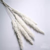 15/30/60x Artificial Dried Pampas Grass Phragmites Communis Bunch Home Decor