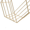 2x Metal Wire Magazine Rack Basket Wall Mounted Hexagonal Storage Display Holder
