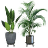 2X Round Rolling Garden Plant Flower Pot Moving Wheel Trolley Plate Resin Stand