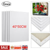 6 Pack Blank Artist Canvas Art Board Plain Painting Stretched Framed 40x50CM