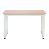 Modern Computer Desk PC Laptop Table for Home Office Study Writting Workstation