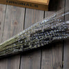 100Pcs Natural Lavender Dried Flowers Gifts Flower Bouquet Home Wedding Decor !!
