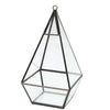 Tabletop Geometric Terrarium Glass Box Pot Plant Planter Succulent Moss Holder