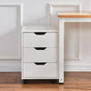 Mobile Filing Document Organizer Storage Cabinet Under Desk 3 Drawers Chest BN