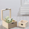 Natural Finish Wooden Chest Storage Box Memory Keepsake Box DIY Hinged Glass Lid