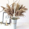 10x Natural Dried Pampas Grass Reed Flower Bunch Wedding Bouquet Home Decor