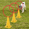 Dog Agility Equipment Set Pet Jumps Kit Outdoor Obstacles Jumping Training Tool