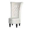 Velvet Dressing Table Stool Chair Storage Accent Throne Fireside Chair High Back