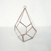 Tabletop Geometric Terrarium Glass Box Pot Plant Planter Succulent Moss Holder