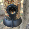 Outdoor Wild Bird Hanging Seed Feeder Peanut Feed Fat Ball Feeders Garden Birds