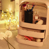 Cosmetic Organizer Drawers Jewelry Toiletry Storage Box Dressing Table Vanity