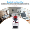 Preserved Flower Eternal Rose Bluetooth Speaker Flower Night Light Home Decor UK