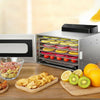 6 Trays Food Dehydrator Dryer Electric Fruit Drying Machine Steel 35L