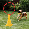 Dog Agility Equipment Set Pet Jumps Kit Outdoor Obstacles Jumping Training Tool