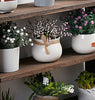 Utility 3Tier Ladder Wood Bathroom Shelf Succulent Plant Stand Bookshelf Storage
