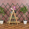 3 Tier Wooden Stairs Standing Shelving Flower Plant Decoration Display Rack