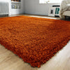 Super Soft Living Room Rug Non Slip Hallway Runner Large Fluffy Rugs Small Mat