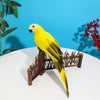 Artificial Parrot Fake Lifelike Feather Parrot Realistic Garden Ornament Decor