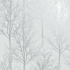 Holden Decor Rhea Trees Wallpaper - Warm Grey - Silver - Statement Feature Wall