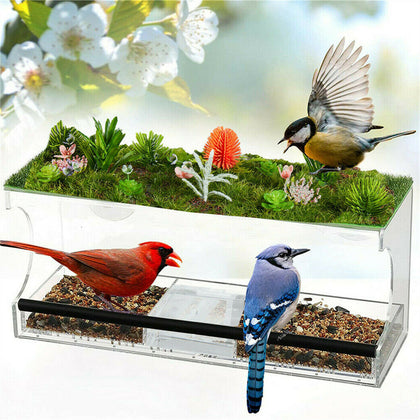 Large Acrylic Clear Window Bird Feeder Removable Dry Seed Tray w/ 16 Drain Holes