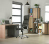 Executive Swivel Office Chair Ergonomic Adjustable Computer Desk Chair Black