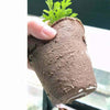 60Pcs Nursery Cup Plant Pot 8cm Round Pulp Peat Biodegradable Fibre Herb Pots