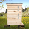 3 Tiers Langstroth Beehive Box Wooden Hive Frames Beekeeping Honey Brood Box