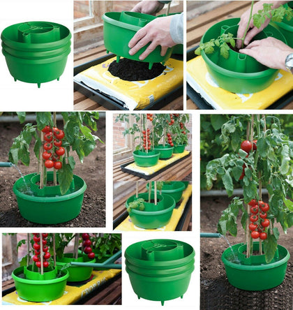 GARDEN PLANT HALO HALOS TOMATOES TOMATO PLANTER BEAN GROW BAG WATERING POT TUB