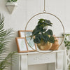 Wall Hanging Planter Flower Pot Metal Basket Bowl Decor Garden Indoor Black/Gold