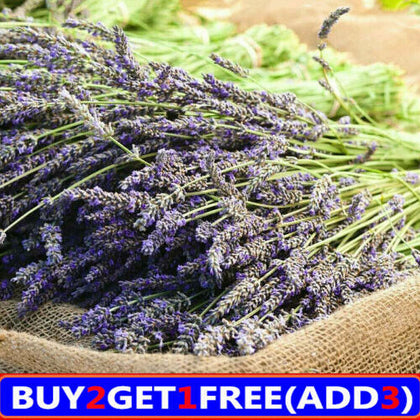 180Pcs Natural Lavender Dried Flowers Gifts Flower Bouquet Home Wedding Decor