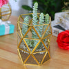 Tabletop Geometric Terrarium Glass Box Pot Plant Planter Succulent Moss Holder
