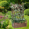 Indoor Outdoor Wooden Raised Bed Tall Planter Box with Generous Hanging Trellis
