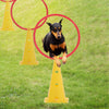 Dog Agility Equipment Set Pet Jumps Kit Outdoor Obstacles Jumping Training Tool