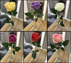 Best Artificial 45cm Single Rose Silk Flower Stem Wedding Home Arrangement New
