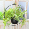 Wall Hanging Planter Flower Pot Metal Basket Bowl Decor Garden Indoor Black/Gold