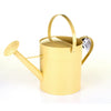 2L/10L Watering Can Metal Galvanised Steel Rose Garden Plants Water Green Cream