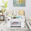 2 Tier Coffee End/Side Table Modern White Design with Storage Shelf Living Room
