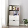 Filing Cabinet Freestanding Display Cabinet Filing Cabinet with 2 Drawer 1 Shelf