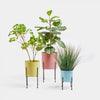 Set of 3 Pastel Planters
