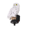 Owl Solar Powered Garden Light LED Outdoor Ornament Lawn Waterproof Novelty Lamp