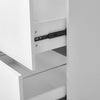Filing Cabinet Freestanding Display Cabinet Filing Cabinet with 2 Drawer 1 Shelf