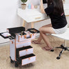 Rolling Cosmetic Case Makeup Train Lockable Case Trolley Beauty Storage Drawers