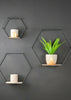 Set of 3 Hexagon Wall Shelves Industrial Style Metal Wood Shelving Shelf Display