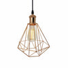 Vintage Metal Cage Industrial Wire Frame Pendant Light Loft Ceiling Lamp Shade