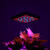 169 LED Grow Light Hydroponic Full Spectrum Indoor Veg Flower Plant Lamp Panel